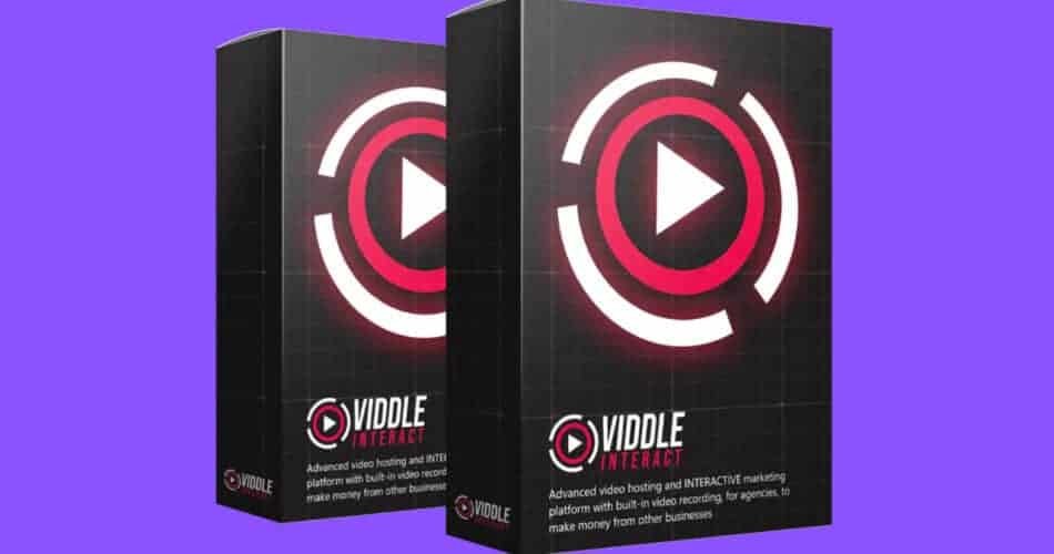 Viddle Interact Review