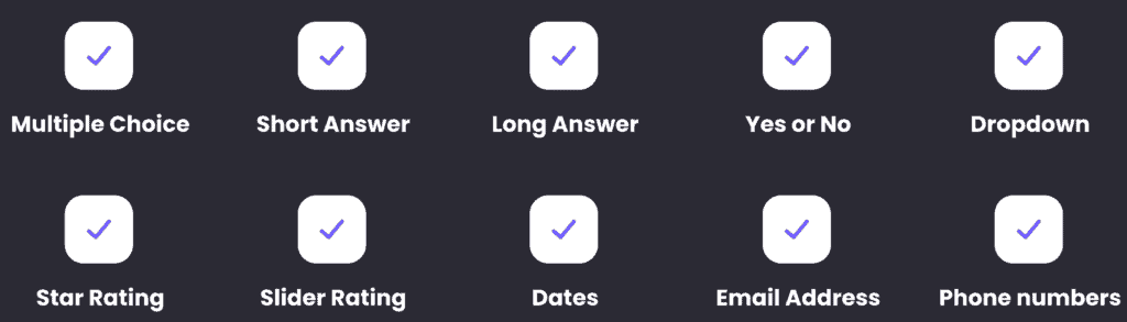 SurvAI Review - Create Survey Funnels Using AI? survai multiple type of questions